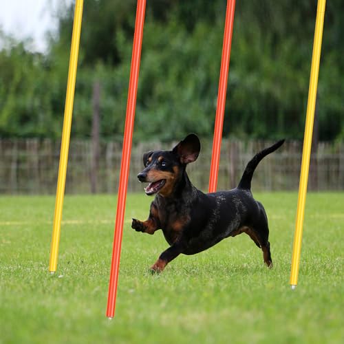 Silipull 4 Pcs Training Agility Poles 5ft Adjustable Poles Soccer Training Sticks Sports Speed and Agility Trainings Equipment for Football Sport Soccers Speed Trainings