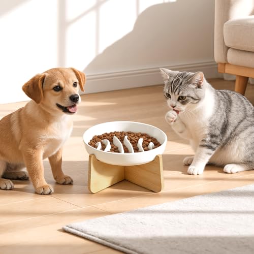 PETTOM Slow Feeder Cat Bowl Elevated Ceramic with Bamboo Stand, Raised Pet Puzzle Dishes for Indoor Cats Small Dog, Anti Vomit Cat Bowl for Wet & Dry Food - color: White-fishbone