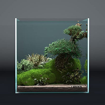 30C Rimless Low-Iron Cube Aquarium, 6.6 Gal, 11.8x11.8x11.8in | 30x30x30cm; aquascaping and shrimp; 5mm glass - size: 06.6Gal W11.8×D11.8×H11.8 in(30x30x30cm)