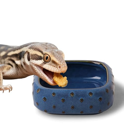 2-Pcs Ceramic Reptile Food Bowl, Mini Reptile Feeder (Farmhouse Blue) | Stable Base Design, Smooth Surface for Easy Cleaning, Safe Feeding Solution, Compact Habitat Accessory, Everyday Use - color: Farmhouse Blue
