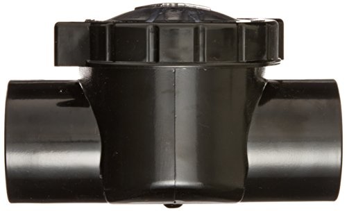 Waterway Plastics 600-7010 TruSeal Serviceable Swing Check Valve