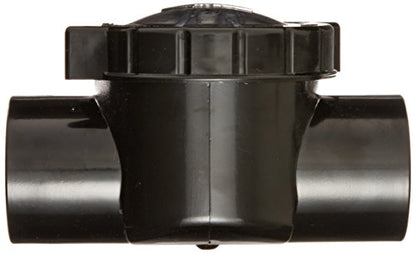 Waterway Plastics 600-7010 TruSeal Serviceable Swing Check Valve