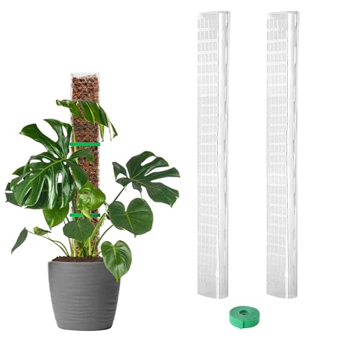 EOX Plastic Moss Pole for Monstera and Climbing Plants, 24-Inch, 2-Pack | Clear D-Shaped Design, Fold-to-Assemble, Sphagnum Moss Not Included, Helps Retain Moisture, Rooting Grid for Aerial Roots