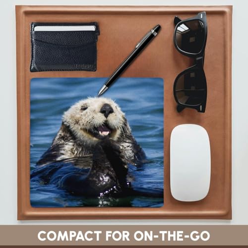 3dRose LLC 8 x 8 x 0.25 Inches Mouse Pad, California Sea Otter Moss Landing California Jim Goldstein (mp_88466_1)