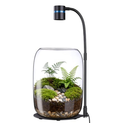 Glass Plant Terrarium with LED Grow Light, Grow Light for Terrarium, Small Desktop Indoor Planter for Venus Fly Trap, Moss & Succulents, Borosilicate Decor Jar for Plant Lovers