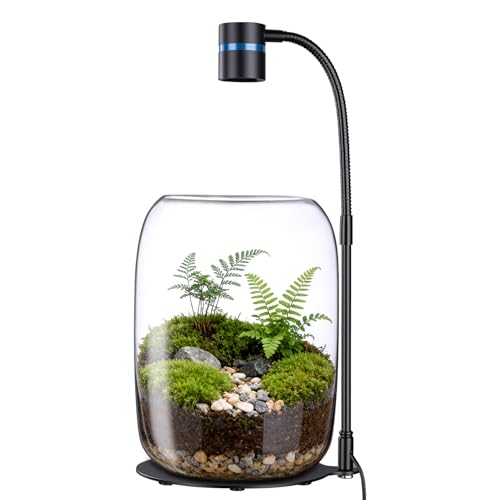 Glass Plant Terrarium with LED Grow Light for Home Office | 8.46" H x 5.9" D, Terrarium with Grow Light for Succulents, Moss, Mini Gardens, Betta Fish Tanks, for Plant Lovers