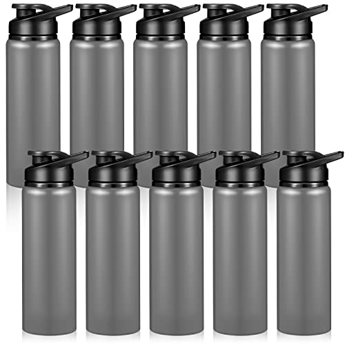 Chengu 10 Pcs 25oz Reusable Aluminum Water Bottle Bulk Lightweight Outdoor Sports Water Bottles Easy Carry Leak Proof for Travel Gym Camping Hiking Fishing, Snap Lid (Gray) - style: Gray
