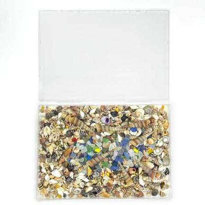 900 Pcs Sea Shells for Crafting,0.11-2.7in Mixed Mini Seashells with Sea Glass for Decorating,Small Shells for Craft,Beach Themed Party Wedding,Fish Tank Vase Filler (900pcs)