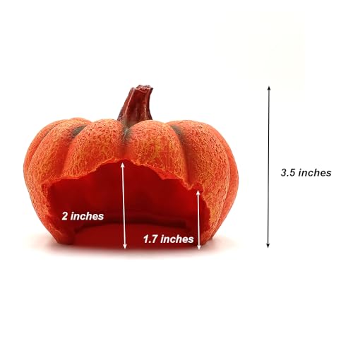 Shelltech Reptile Hideout Resin Aquarium Decoration Pumpkin House for Small Fish,Shrimps,Frogs,Gecko, Spider (Mini Pumpkin)