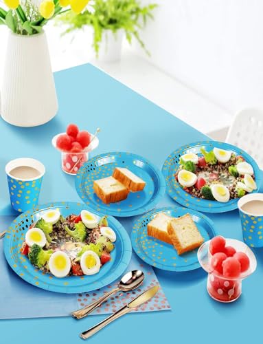 Nkaiso 141Pcs Blue Gold Paper Plates and Napkins Party Supplies-20 Guests - color: Sky Blue Gold