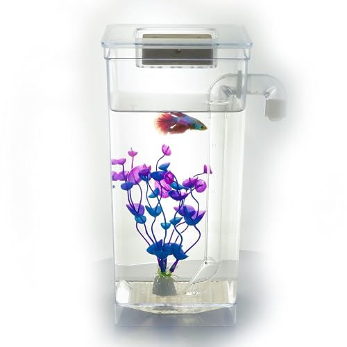 My 1st Fish Tank™ : Gen 2, Mini Fish Tank Aquarium Starter Kit 1 gal, Professional for Betta, Easny Maintain, Self Cleaning System-Only Add Water, Beautiful Color Changing LED Light, Color Box