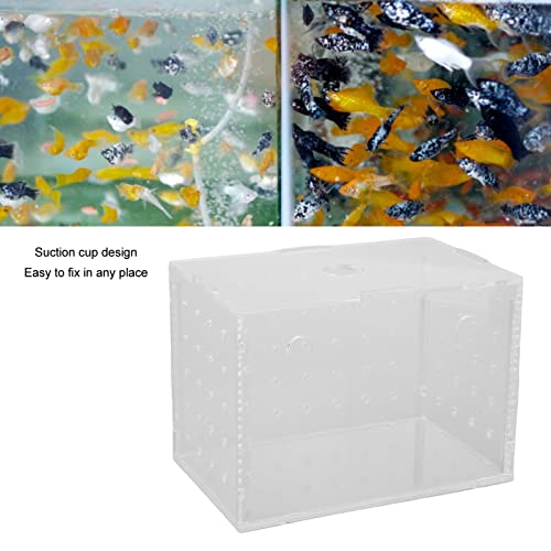Fish Breeder Box, Aquarium Fish Breeding Box, High Transparency Acrylic Hatchery Incubator Tank with Suction Cups, Isolation Breeding Box for Baby Fishes Shrimp Clownfish, Safe Lid (11 * 7 * 8CM)
