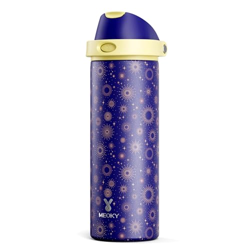 24 oz Insulated Water Bottle for Men: Meoky Stainless Steel Water Bottle with 2-in-1 Straw and Spout Lid - Leak Proof, Cold for 24 Hours, Fits in Car Cup Holder, BPA-Free for Sports Travel, Destiny - color: Destiny, size: 24 Ounces