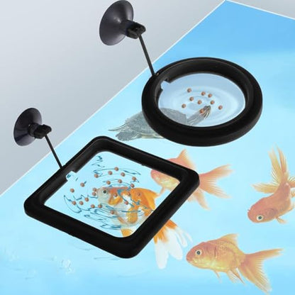 2PCS Fish Aquarium Feeding Ring Aquarium Feeding Ring Fish Tank Station Floating Food Tray Feeder Square Circle Accessories Foods Feeder with Suction Cup（Black）