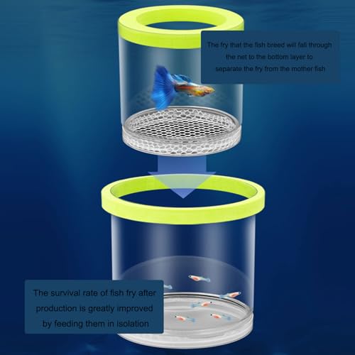 3PCS Aquariums Isolation Box for Protecting Fish and Shrimp from Larger Tanks Inhabitant Growth and Breeding Fish Breeding Box - color: Small blue