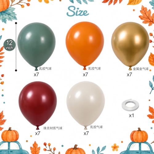 Fall Balloons, 12 Inch Burnt Orange Burgundy Sage Green Gold Balloon - color: Orange Green Gold