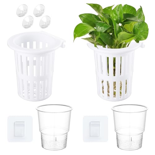 Novabright 2 Pack New Upgraded Large Aquarium Plant Holder with Hydroponic Cup 3.37 Inch Sick Hook and Suction Cup for Fish Tank Aquaponic Plant Cultivation and Aquascape Accessories Decoration(White) - color: White