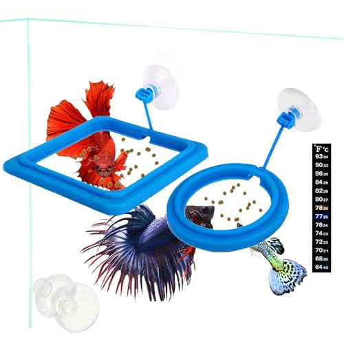 2 Pcs Fish Feeding Ring, Fish Safe Floating Food Feeder Circle Blue, with Suction Cup Aquarium, Square and Round Shape Fish Tank Towels - for Guppy, Betta, Goldfish, Etc. (Blue)¡­ - color: Blue suit