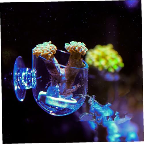 VOSAREA 2pcs Acrylic Fish Tank Feeder Cups with Suction Fish Food Holder for Aquarium Shrimp Feeding Supplies