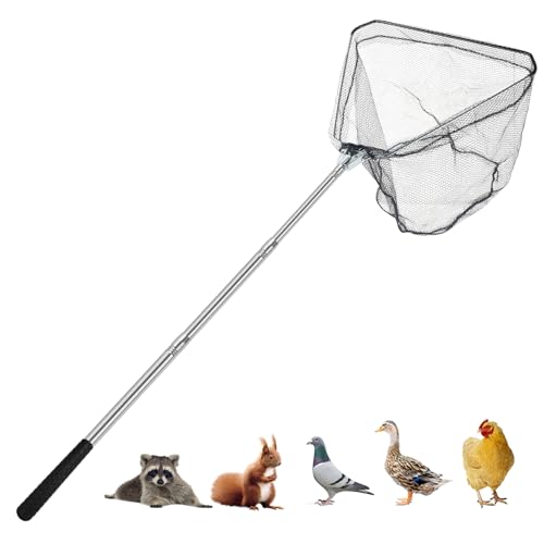 Chicken Catching Net, Animal Catch with Extendable 46In Long Handle | Landing Nets for Bird, Ducks, Cat, Dogs, Frog, Fishnet, Chicken Catcher for Poultry Supplies - Stainless Steel
