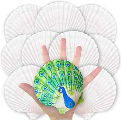 20PCS Natural Scallop Shells for Crafts, 4-5 in White Sea Shells, DIY Decor | Smooth, cleaned surfaces suit painting, resin art, candle making, baking displays, weddings, classrooms and ocean parties. - size: 20PCS (4-5in)