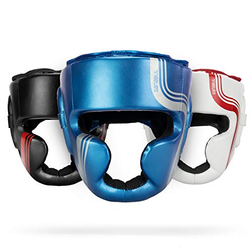 CORE Series Sparring Head Gear - color: Blue/Silver, size: Small-Medium