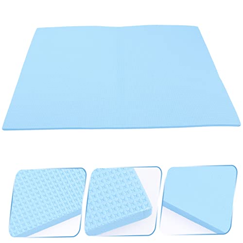 POPETPOP Fish Tank Pad Bottom Reptile Supplies Washable Black Terrarium Pad Fish Tank Cushioning Mat Turtle Tanks Fish Tank Leveling Mat Fish Aquarium Accessories Waterproof - Blue Foam - color: Blue