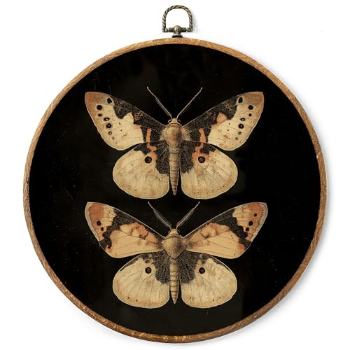 AYQJCBGC Vintage Gold Moth Round Framed Wall Art, Cottagecore Retro Canvas Wall Decor, Dark Academia Framed Prints Hanging Decor for Home Bedroom Living Room, 10x10 Inch. (007) - color: Gold Moth