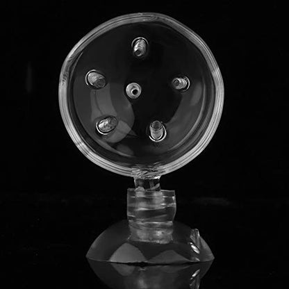 Shrimp Feeding Dish, Transparent Aquarium Feeding Dish with Strong Suction, No Mess Aquarium Glass Feeder for Feeding Shrimp, Fish and Reptiles in Tank, Glass Hole Cup