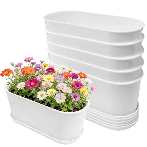 5-Pack White Herb Planter Box with Drip Trays, 8.5 Inch Small Oval Window Planters for Kitchen Sill, Indoor Outdoor, Perfect for Basil, Mint, Succulents, Flowers - size: 5 Pack