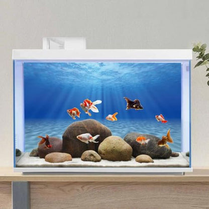 AWERT Undersea Aquarium Backdrop Sunshine Fish Tank Background 36x20 inches | AWERT Ocean Floor Underwater World Vinyl Background - size: 36 x 20 inches