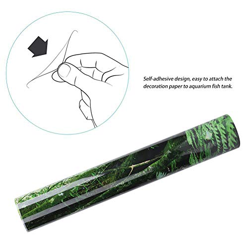 PVC Reptile Box Rainforest Background Poster Fish Tank Wall Picture Painting Decoration Self Adhesive Sticker HD Image Non Easy to Apply for Aquarium or Reptile (61 * 41cm) - size: 61*41cm