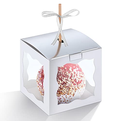 Dandat 50 Pieces 4 x 4 Inch Candy Apple Box with Hole and Stick Paper Caramel Apple Boxes Cookies Chocolate Gift Treat Boxes with Clear Windows Caramel Containers for Wedding(Silver) - color: silver