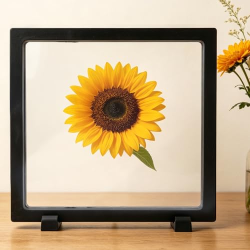 4pcs 3D Floating Display Stand for Seashell, 7x7x0.8in 3D Floating Display Case Coins Displays Frame Case with Stand for Seashells Jewelry Pins Coins Stones (Square) - style: square