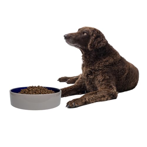 SPOT Standard Crock Dish - Heavy Duty, Non-Slip, Round Ceramic Food/Water Bowl for Pets, Ideal for Medium to Large Dogs or Multiple Animals, Dishwasher Safe - 9.5 in, 8 Cups, (64 Oz) - size: 9.5"