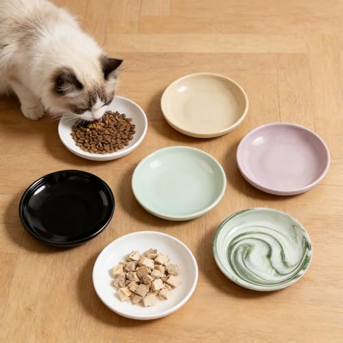 3 PCS Ceramic Cat Bowls, 5.5 in Pet Food Bowl Cat Dishes for Food and Water, Small Dog Dish(Black) - color: black