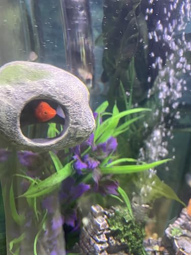 Aquarium Decor Magnetic Rock Cave Ornament – Wall-Mounted Fish Tank Accessory
