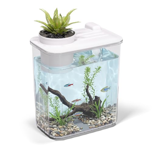 0.8 Gallon Betta Fish Tank Aquarium Starter Kit with Light and Lid(White) | Premium Acrylic Aquarium with Light and Lid, Crystal Clear Starter Kit for Betta Fish, Shrimp, Snails and Small Fish - color: White, size: 0.8 Gallon