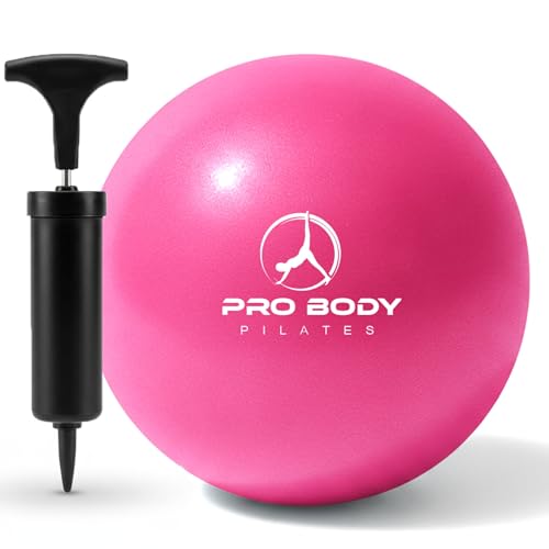 ProBody Pilates 볼 펌프 포함 소형 운동 공, 22.9cm(9인치) 바레 볼, 미니 소프트 요가 볼, 안정성을 위한 운동 공, 바, 피트니스, 복근, 코어, 물리 치료 및 물리 치료 공, 가정 체육관 및 사무실 - color: 핑크