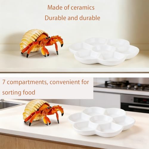 2 Pack Terrarium Bowls, Hermit Crab Water Dishes & Water Bowl Ceramic Hermit Crab Accessories, Anti-Turning Bowl for Feeding & Hydration, Terrarium Pet Supplies