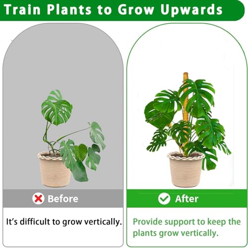 Moss Pole, 2Pack 21 Inch Plant Support Stakes for Indoor Plants, Monstera Plant Support Stakes, 37 Inch Tall Coir Plant Pole Sticks for Potted Plants, Pothos, Philodendron - size: 2pcs x 21 Inches