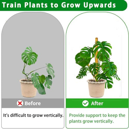 Moss Pole, 2Pack 21 Inch Plant Support Stakes for Indoor Plants, Monstera Plant Support Stakes, 37 Inch Tall Coir Plant Pole Sticks for Potted Plants, Pothos, Philodendron - size: 2pcs x 21 Inches