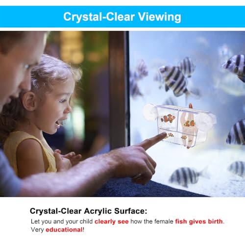 DaToo Fish Breeding Box Aquarium Holding Tank Transparent Fish Isolation Box Acclimation Hatchery Incubator Breeder for Betta Shrimp Clownfish Guppy(Size S)