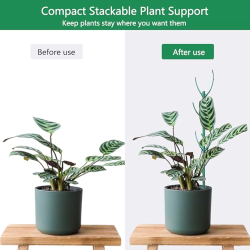 Belit 6 Pack Stackable Twigs, Small Plant Support Stakes & Plant Cage Support Rings for Indoor Outdoor Plants Climbing Plants, Plastic Branches Support Structures,11" - size: 11 Inch-6 Pack