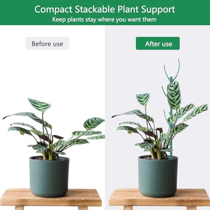 Belit 6 Pack Stackable Twigs, Small Plant Support Stakes & Plant Cage Support Rings for Indoor Outdoor Plants Climbing Plants, Plastic Branches Support Structures,11" - size: 11 Inch-6 Pack