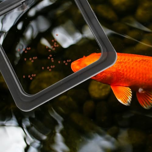 NUOBESTY 4pcs Aquarium Feeding Rings Fish Feeder Circles Wear Resistant Small Fish Tank Feeders Portable Feeding Device for Tropical and Aquarium Use
