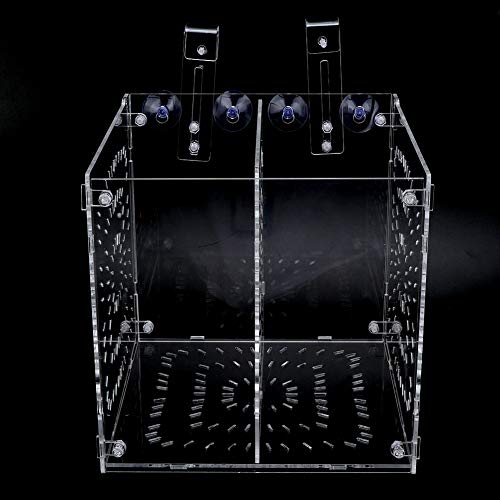 Acrylic Fish Breeding Box 20x20x20cm Mesh Rearing Trap for Baby Shrimp Clownfish Guppy, Isolation Board Prevents Adult Attack, Adjustable Suction Cup Fixation for Aquarium Hatchery (20MC - size: 20MC *20CM*20CM