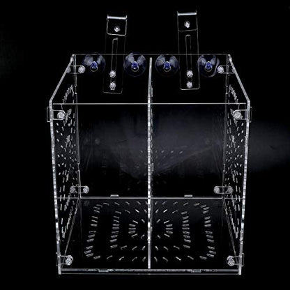 Acrylic Fish Breeding Box 20x20x20cm Mesh Rearing Trap for Baby Shrimp Clownfish Guppy, Isolation Board Prevents Adult Attack, Adjustable Suction Cup Fixation for Aquarium Hatchery (20MC - size: 20MC *20CM*20CM