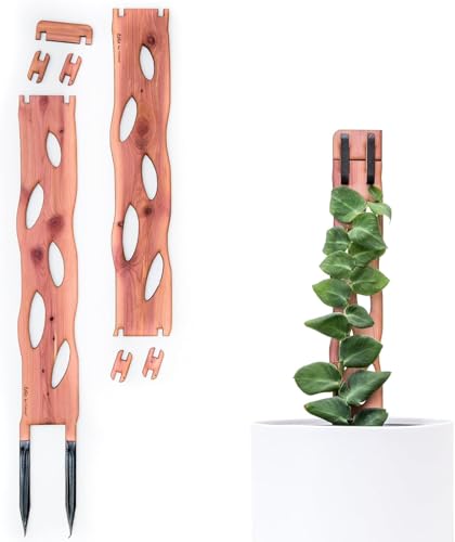 Zella Regular Starter Kit – Wooden Extendable Plant Trellis for Indoor Climbing Houseplants – Modular Plant Support with 2 Bases + 2 Extensions - Moss Pole Alternative - size: Regular Kit