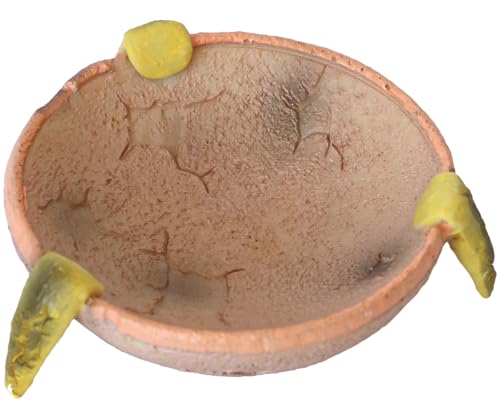 Food/Water Dish for Reptiles, Amphibians and Other Little Critters Water/Food Bowl, Made from Premium Resinl, Reptile Feeding Bowls for Bearded Dragon Lizard,Hermit Crab,Gecko,Tortoise,Frog - color: Orange and Brown